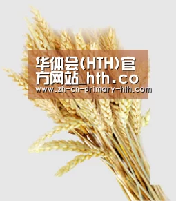 华体会(HTH)官方网站_hth.com