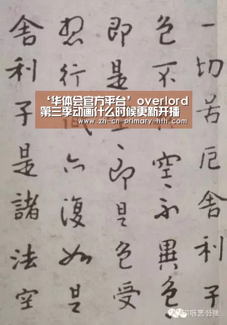 华体会官网下载