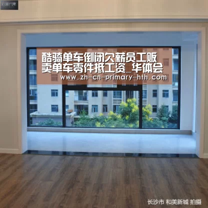 华体会体育app下载