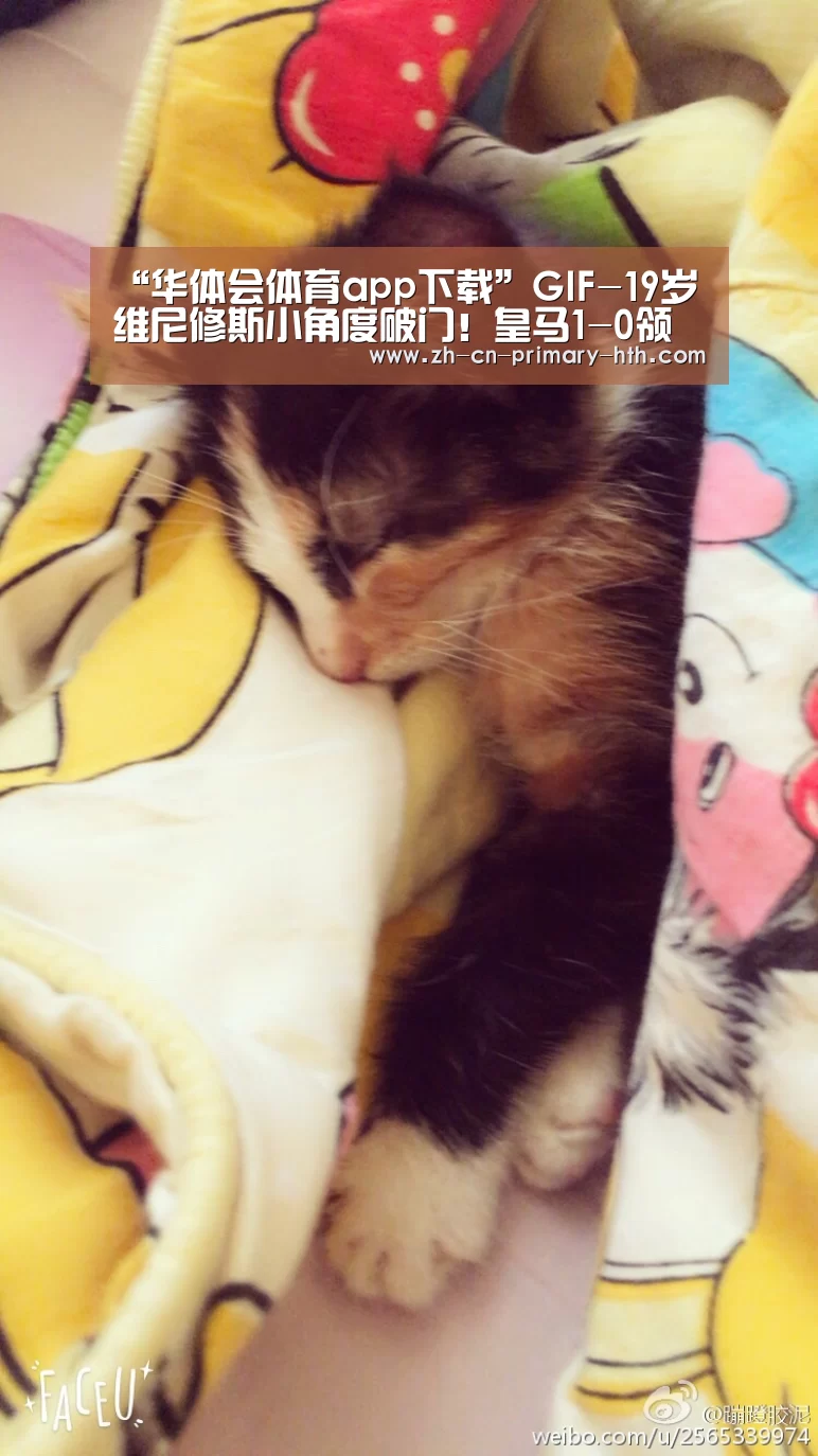 华体会官方网站入口