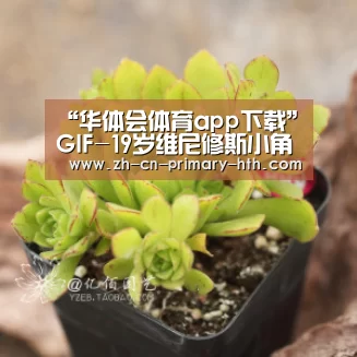 华体会官方网站入口