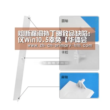 华体会官方网站入口