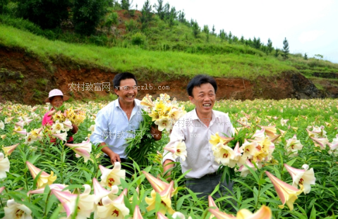 华体会官网下载