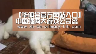 【华体会官方网站入口】中国强两大游戏公司终于解脱:版号来了(图3) 华体会官网下载