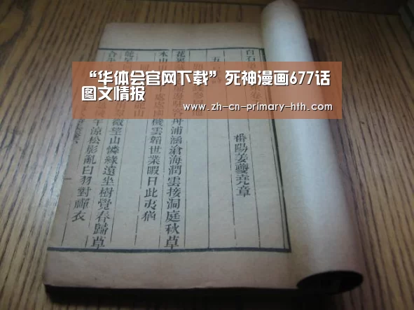 华体会官网下载